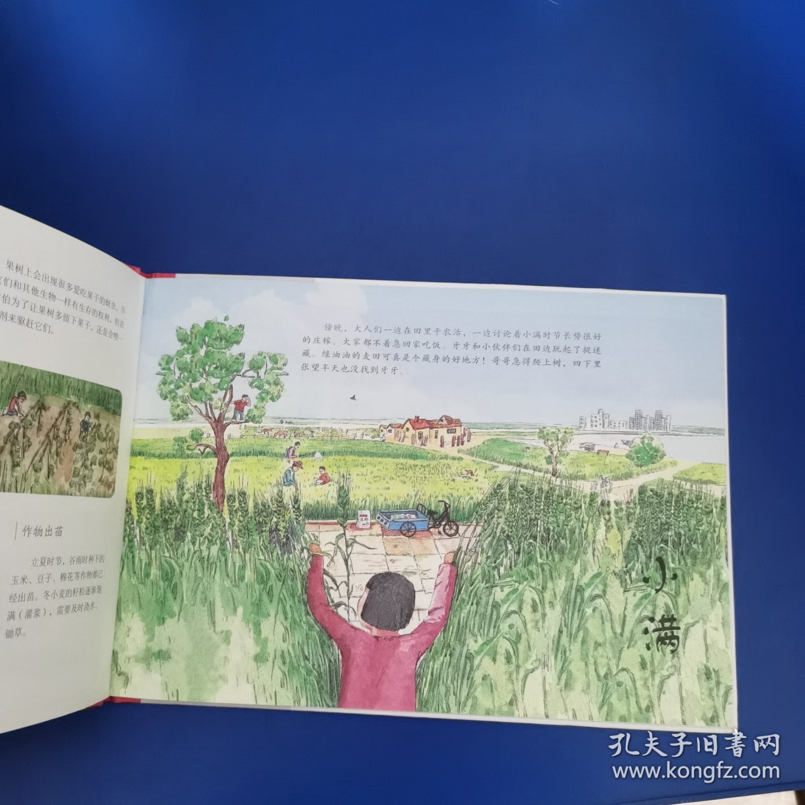 这就是二十四节气·夏（2022百班千人暑期书单）