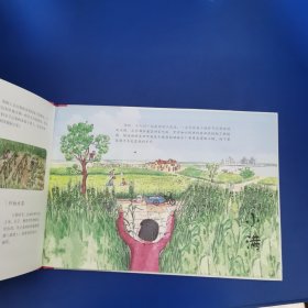 这就是二十四节气·夏（2022百班千人暑期书单）