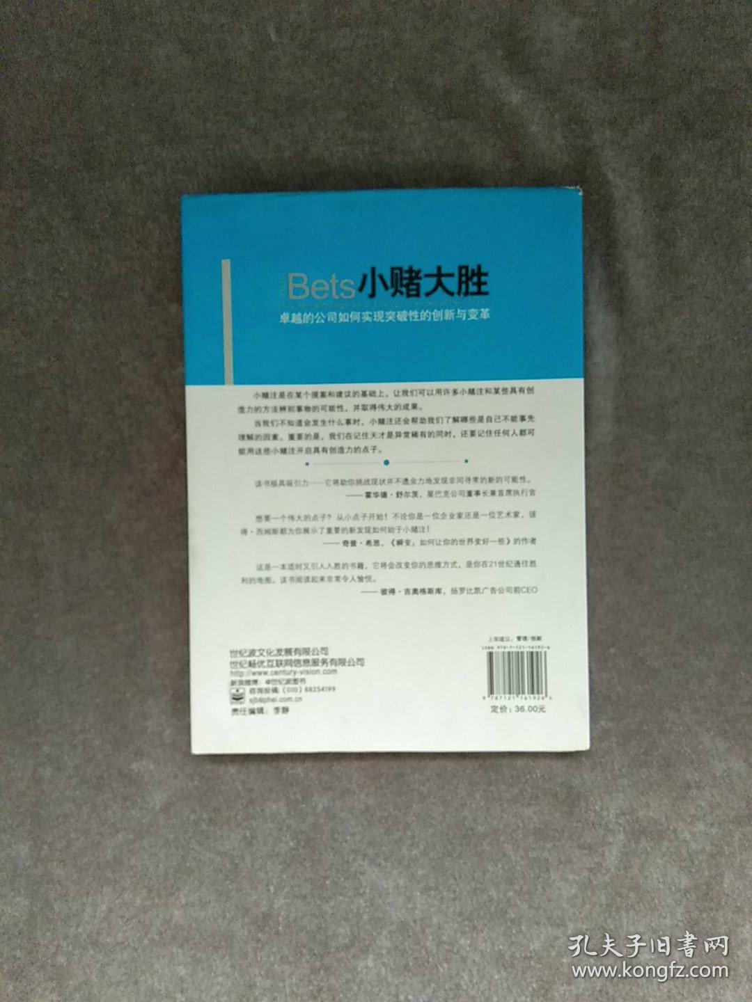 小赌大胜: 卓越的公司如何实现突破性的创新与变革