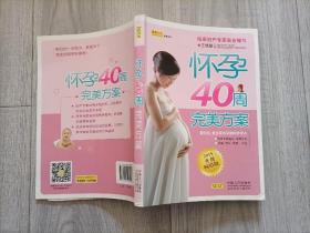 怀孕40周完美方案（升级版）小16开