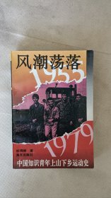 风潮荡落-中国知识青年上山下乡运动史