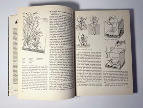 THE FRESHWATER AQUARIUM A practical handbook 淡水水族箱实用手册