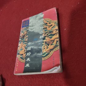 留一个什么样的中国给未来:中国环境警世录