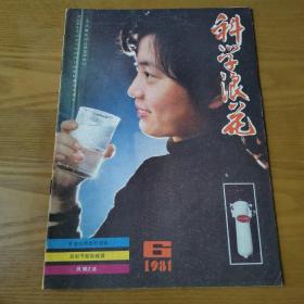 科学浪花1981年6