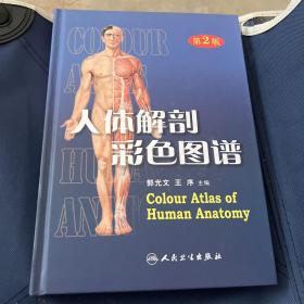 人体解剖彩色图谱