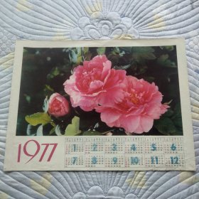 年历画1977鲜花