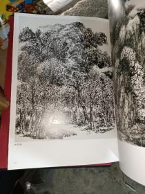 中国当代名家画集· 赵振川(8开函装）