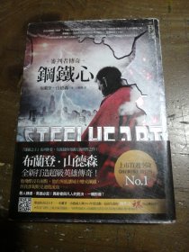 钢铁心安妮 著中国经济出版社