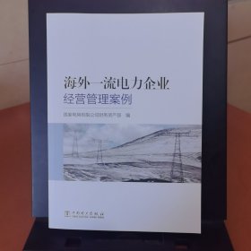 海外一流电力企业经营管理案例