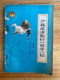 少林罗汉散打一百零八招