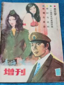 《青海湖增刊》总第1期创刊号