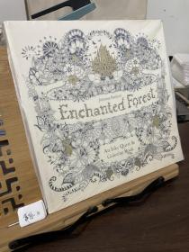Enchanted Forest  An Inky Quest & Coloring Book