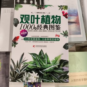 正版库存观叶植物1000种经典图鉴