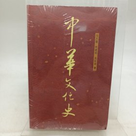 中华文化史（上下）