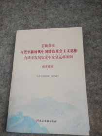 经济建设（贯彻落实习近平新时代中国特色社会主义思想在改革发展稳定中攻坚克难案例）