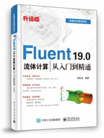 Fluent19.0流体计算从入门到精通(升级版)/技能应用速成系列 凌桂龙 9787121372773 电子工业出版社