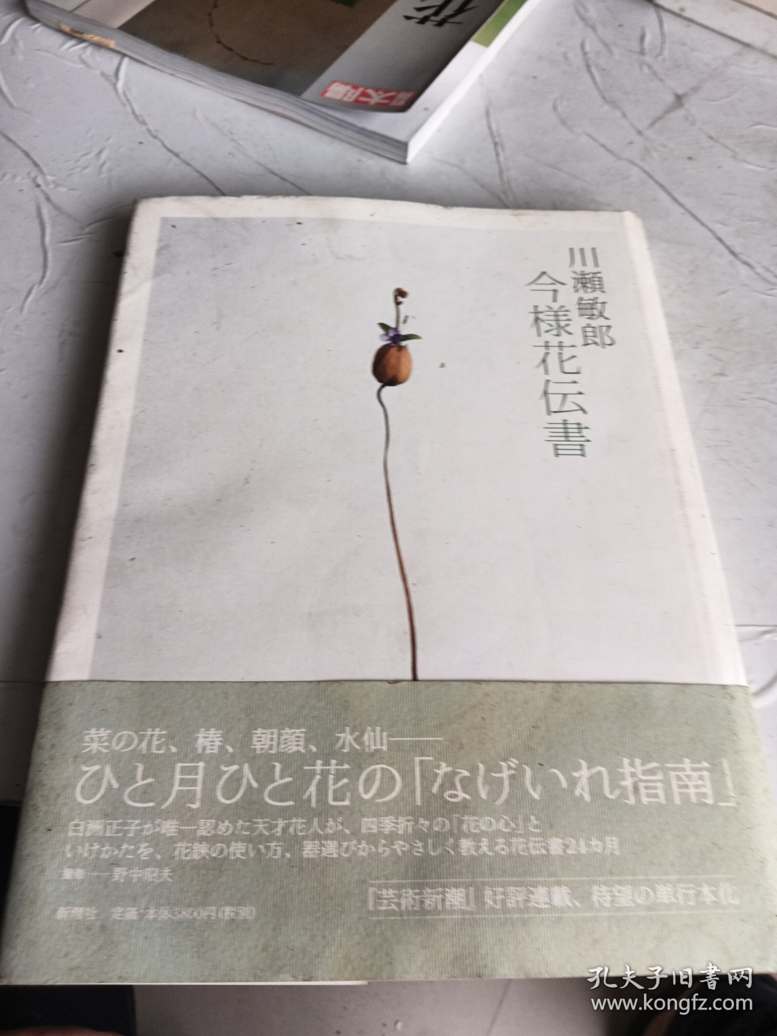 川瀬敏郎今様花伝書