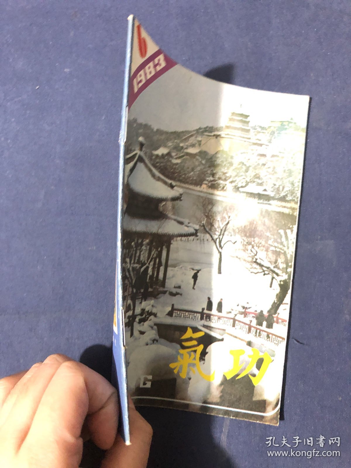 气功杂志 1983.6
铁砂三掌。彭祖长寿法