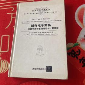 新兴电子商务重大基础问题与关键技术（专著系列）·新兴电子商务：关键字竞价基础理论与计算实验