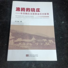 沸腾的晓庄——中共晓庄支部革命历史影像