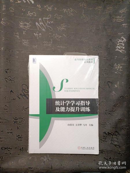 统计学学习指导及能力提升训练