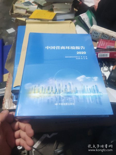 中国营商环境报告2020