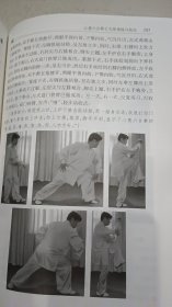 再叙心意六合拳 附光盘