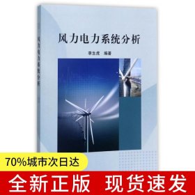風力電力系統(tǒng)分析