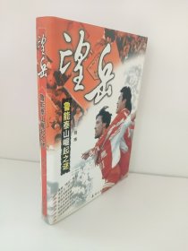望岳:鲁能泰山崛起之谜