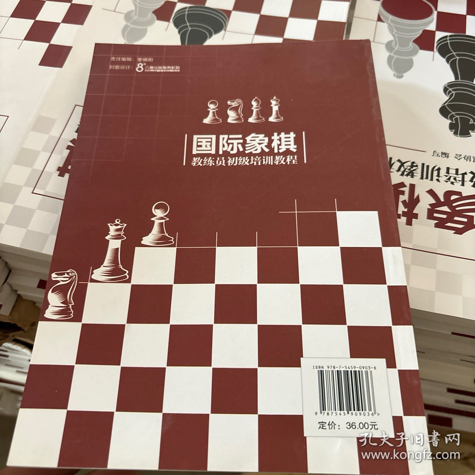 国际象棋教练员初级培训教程