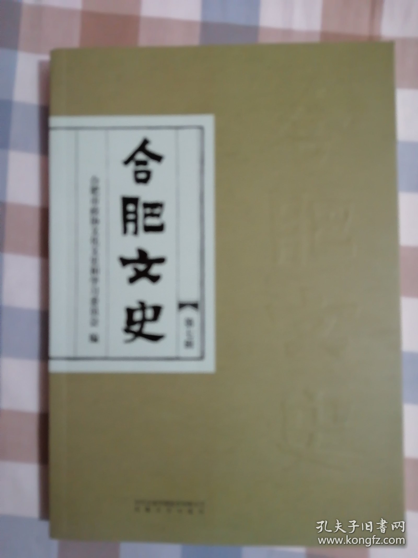 综合新版《合肥文史》2024年第七辑（文史钩沉、专题纪事、口述历史）【当年的供销社、合肥大学的前世今生、从“合兴”到“百大”、志愿军医院到“二院”、“庆云楼”，“老机场”今昔，】