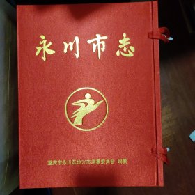 永川市志(1989一2003.综合卷，镇街卷，文化卷，经济卷，政治卷)全五卷带原包装函套