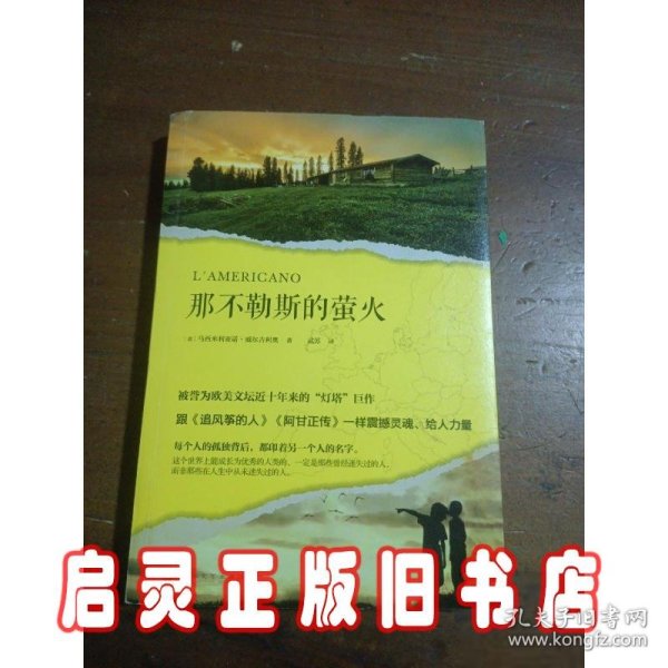 那不勒斯的萤火（被誉为欧美文坛近十年来的“灯塔”巨作，跟《追风筝的人》《阿甘正传》一样震撼灵魂、给人力量。）