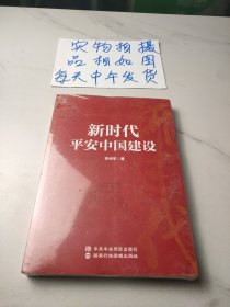 新时代平安中国建设