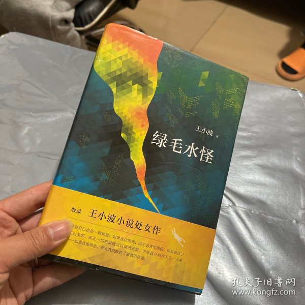 绿毛水怪（王小波短篇小说集）