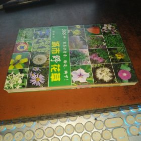 城市野花草