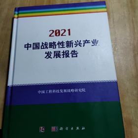 2021中国战略性新兴产业发展报告