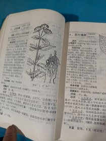 常用草药新编