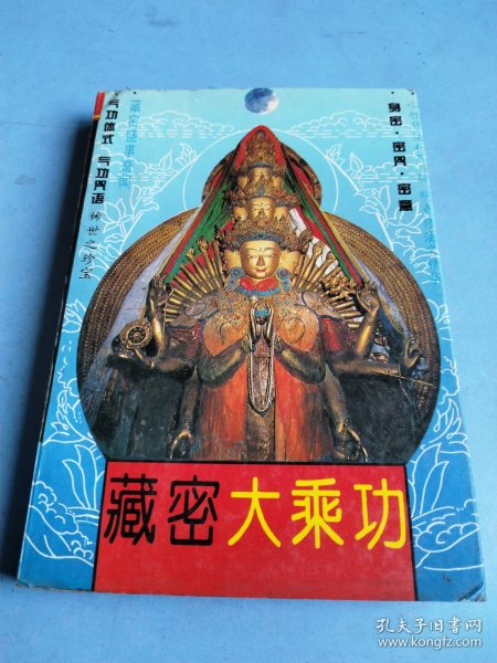 藏密大乘功
