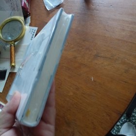 禁毒新路：贵阳模式与启示