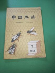 中国养蜂1958年7期