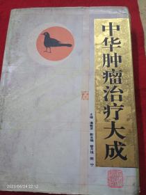 中华肿瘤治疗大成