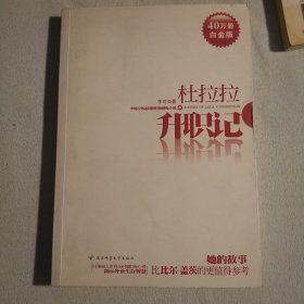 杜拉拉升职记