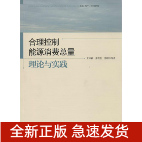 合理控制能源消费总量
