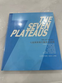 THESEVENPLATEAUS 七座高原当代艺术作品展