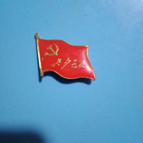 《共产党员》徽章1枚（3×2厘米）