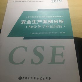 大百科5月新大纲版注册安全工程师教材2019年全国中级注安师全套正版考试用书安全工程师考试辅导教材安全生产案例分析