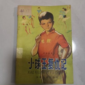 小球王复仇记(插图本)