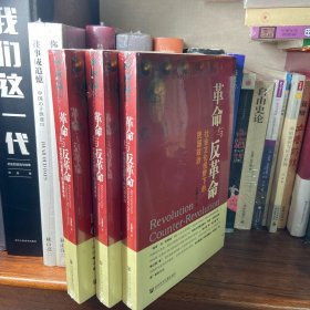 革命与反革命：社会文化视野下的民国政治