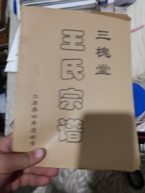 王氏宗谱10本合售